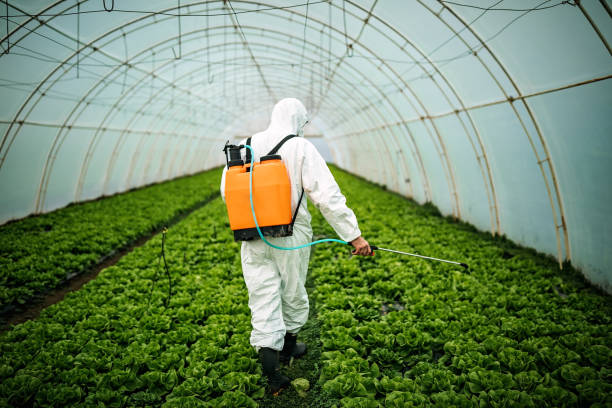 Best Pest Control for Homes  in Conley, GA