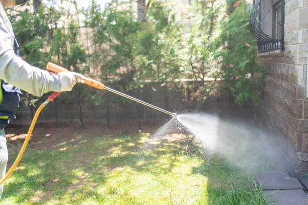 Reliable Conley, GA Pest Control Solutions