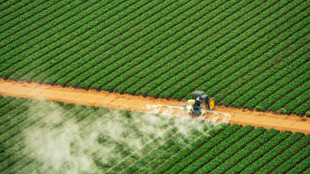 Best Mosquito Control Services  in Conley, GA